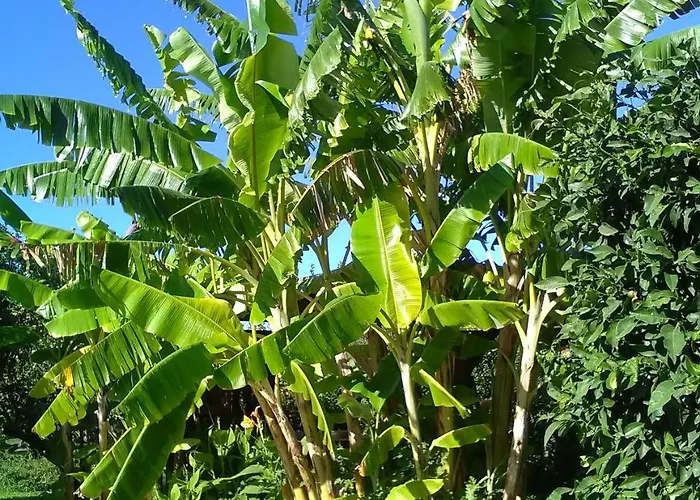 Nicolas Village Club