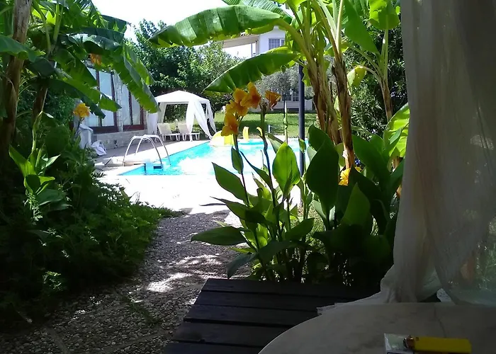 Nicolas Village Club Neos Erineos